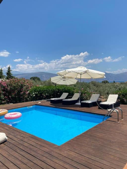 Georges Villa Galaxidi, Family, Pool And Garden エクステリア 写真