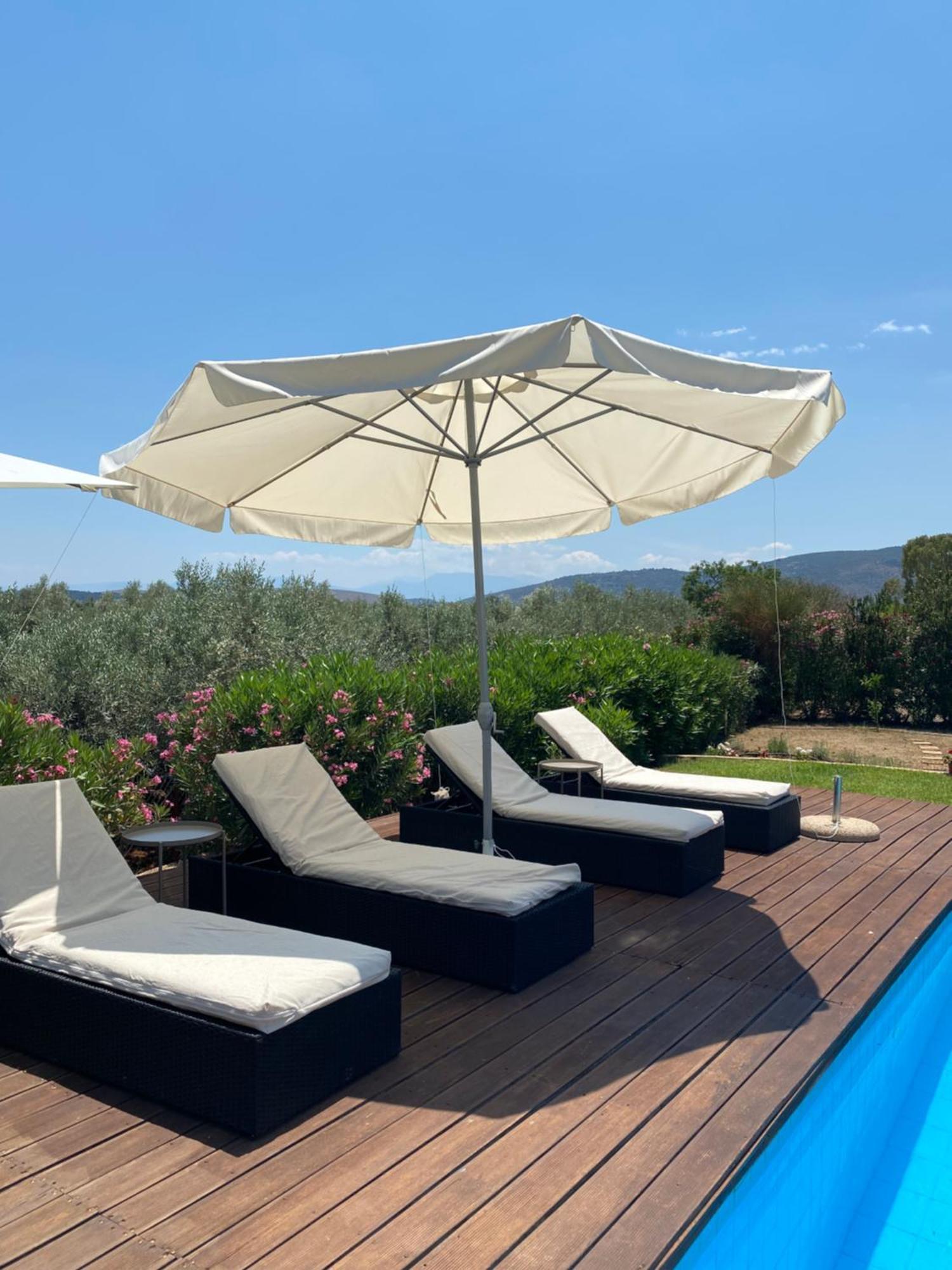 Georges Villa Galaxidi, Family, Pool And Garden エクステリア 写真