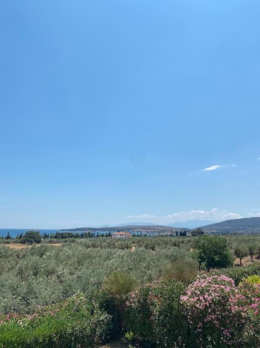Georges Villa Galaxidi, Family, Pool And Garden エクステリア 写真