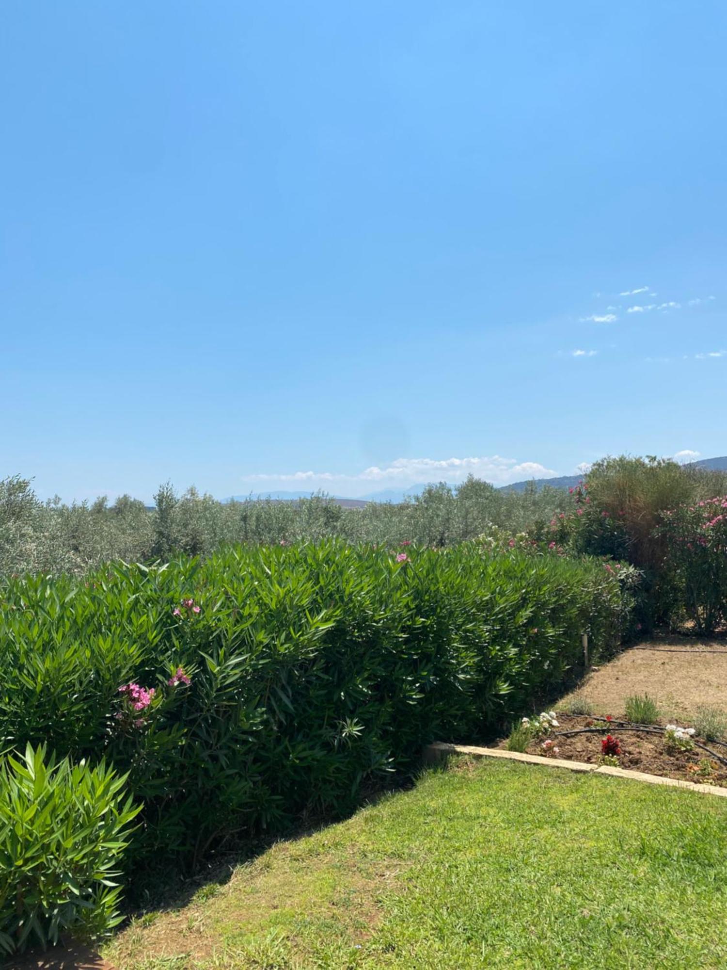 Georges Villa Galaxidi, Family, Pool And Garden エクステリア 写真