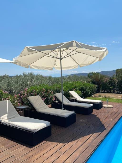 Georges Villa Galaxidi, Family, Pool And Garden エクステリア 写真