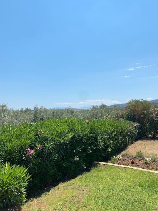 Georges Villa Galaxidi, Family, Pool And Garden エクステリア 写真