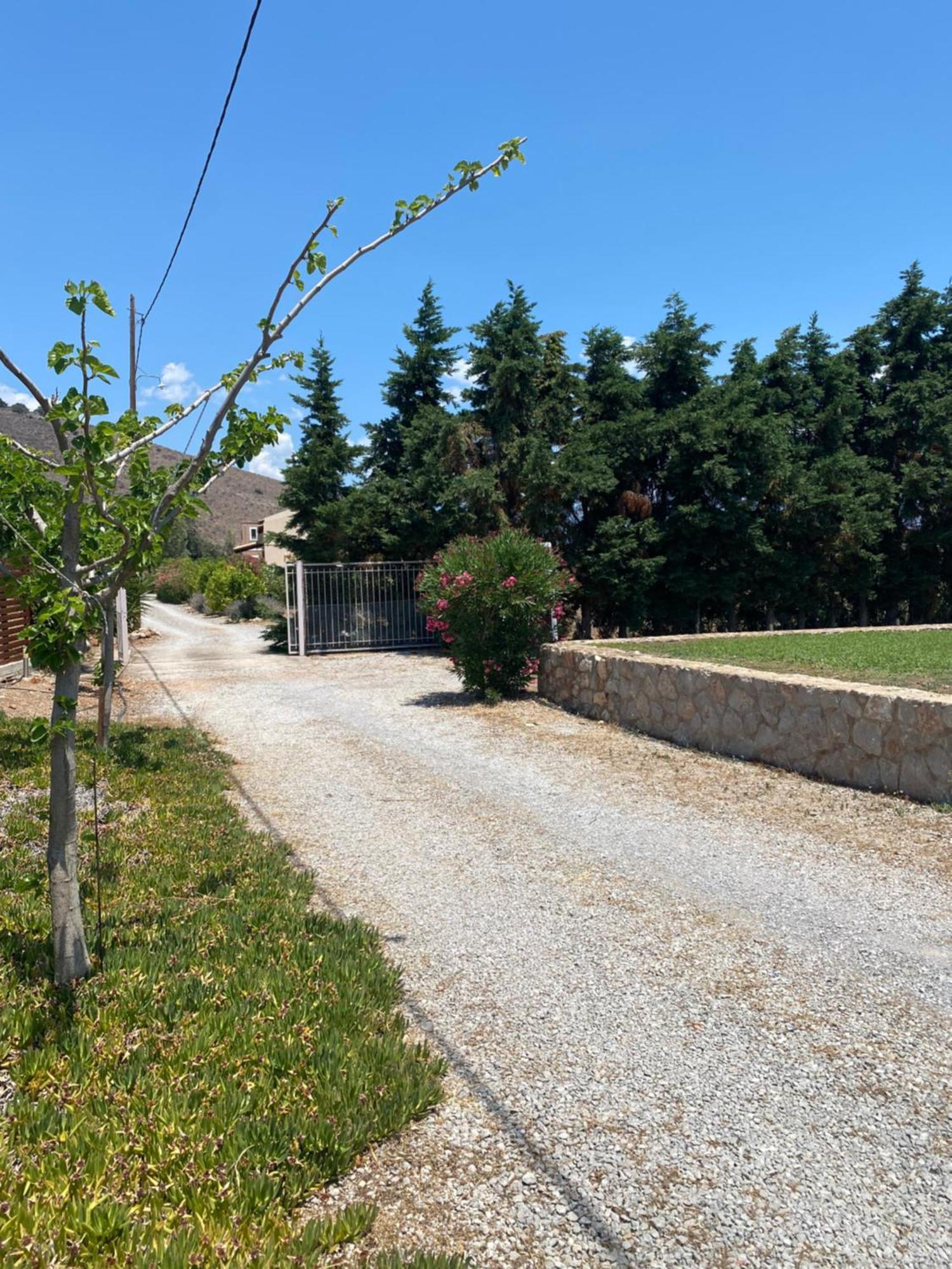 Georges Villa Galaxidi, Family, Pool And Garden エクステリア 写真
